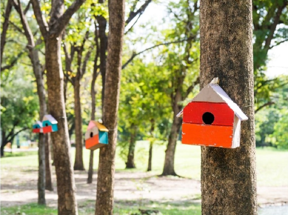 Come costruire la migliore casa di nidificazione per gli uccelli?