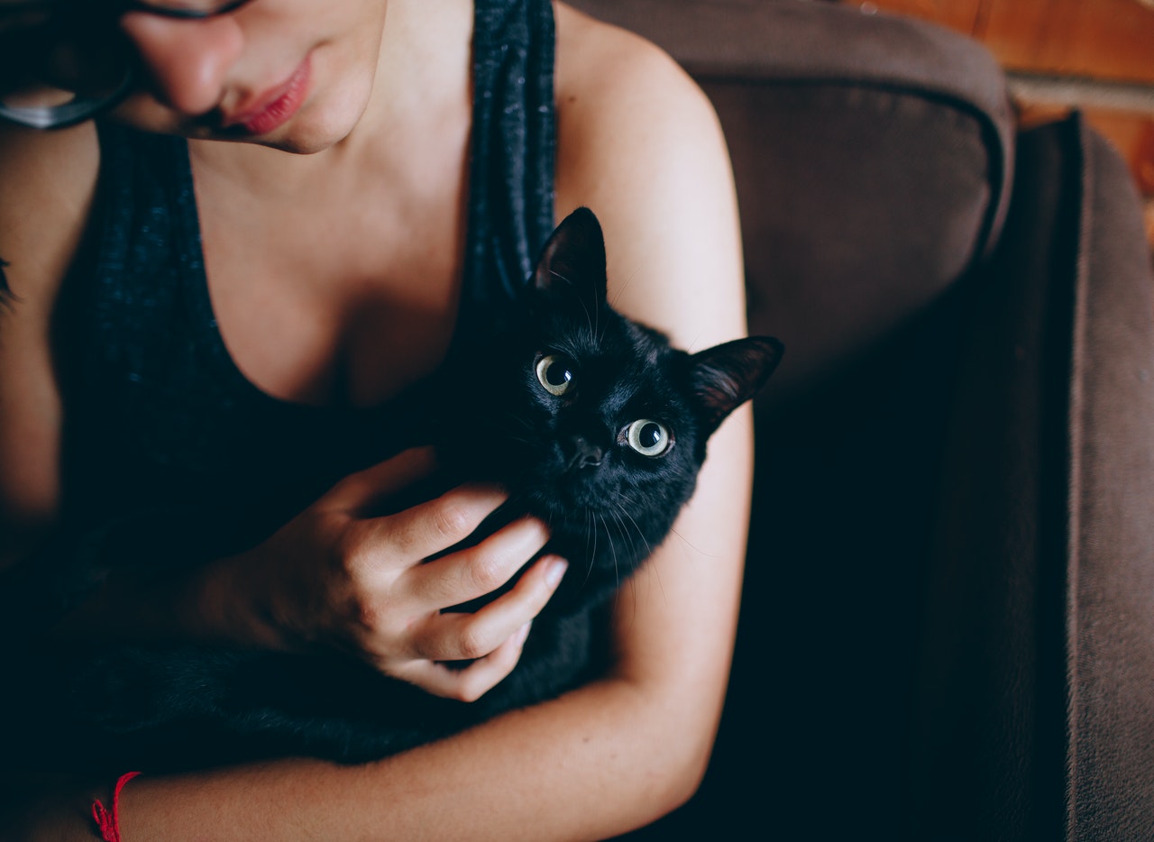 I gatti neri sono oggetto di molti miti e superstizioni. La più diffusa afferma che portano sfortuna.