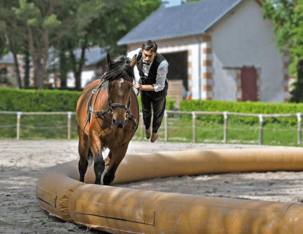 Il volteggio, le figure e gli esercizi che un volteggiatore esegue. È un tipo di acrobazia combinata con la ginnastica?