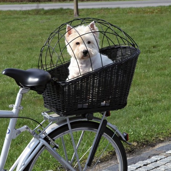 TRIXIE Cesto per cani da bicicletta 35 x 49 x 55 cm nero