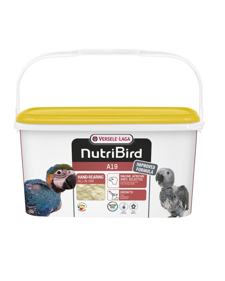 MANGIME OVAIOLA LEONE SUPERPRODUTTIVE KG. 25 - Foto 8