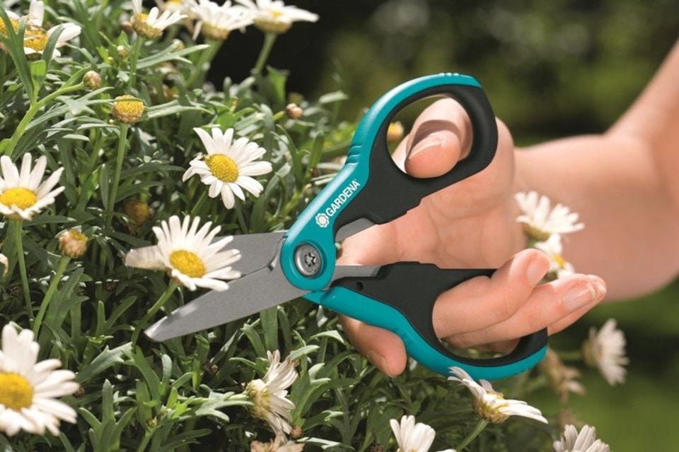 Forbici Multiuso Domestiche N°195 – Manico Plastica, Lama 7,5", Per Casa Ufficio E Cucina