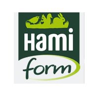 HAMI FORM logo