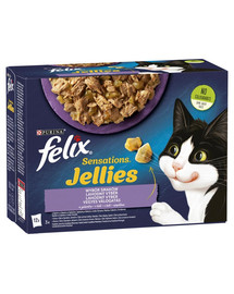 FELIX Sensations Jellies Scelta di gusti in gelatina 72x85g cibo umido per gatti