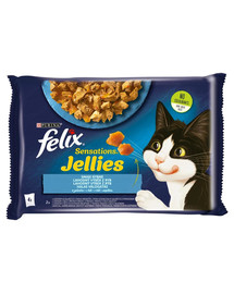 FELIX Sensations Jellies Aromi di pesce in gelatina (salmone e gamberetti, pesce oceanico con pomodori) 85g cibo umido per gatti