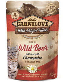 CARNILOVE Wild Boar & Chamomile 24 x 85g per gatti cinghiale e camomilla