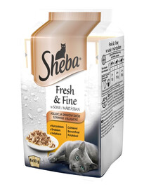 SHEBA Fresh & Fine cibo umido per gatti in salsa 72 x 50g bustine