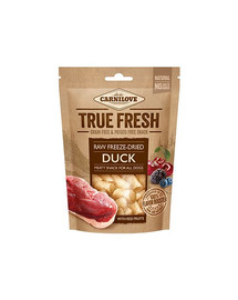 CARNILOVE RAW Freeze-dried duck&red fruits 40 g anatra e frutti rossi