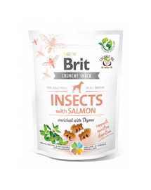 BRIT Care Dog Functional Snack Insect 200 g tratta con gli insetti
