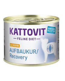 KATTOVIT Feline Diet Recovery Pollo 185g