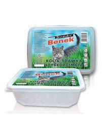 BENEK Erba per gatti a crescita rapida contenitore da 150 g