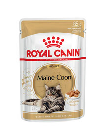 ROYAL CANIN Mainecoon 48x85 g