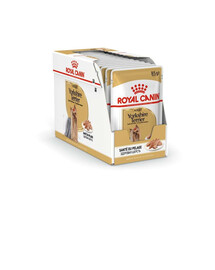 ROYAL CANIN Breed Mini Yorkshire 24 x 85 g