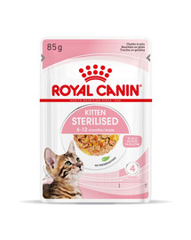 ROYAL CANIN Kitten Sterilised  in gelatina 48 x 85 g