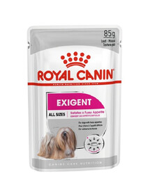 ROYAL CANIN Exigent paté per cani adulti e schizzinosi 48 x 85 g