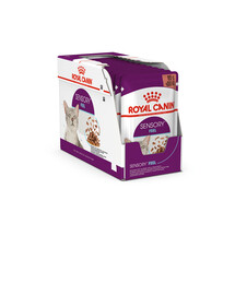 ROYAL CANIN Sensory Feel gravy 48x85 g pezzi di salsa per gatti adulti per stimolare la percezione della consistenza