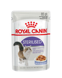 ROYAL CANIN Sterilised cibo umido in gelatina per gatti adulti sterilizzati 48 x 85 g