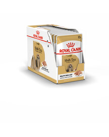ROYAL CANIN Shih Tzu Adult Loaf 24 x 85 g pezzi in salsa, per cani shih tzu adulti