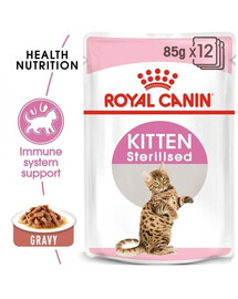 ROYAL CANIN Kitten Sterilised cibo umido in salsa per gattini fino a 12 mesi di età, sterilizzato 24 x 85 g