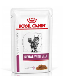 ROYAL CANIN Renal Feline manzo 48 x 85g cibo umido per gatti con insufficienza renale cronica