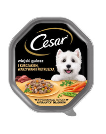 CESAR vaschetta 14x150 g di cibo umido completo per cani adulti in salsa con pollo, verdure e prezzemolo
