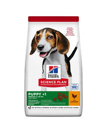 HILL'S Science Plan Canine Puppy Medium Chicken 18kg + 3 scatolette GRATIS