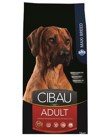 CIBAU Adult Maxi per cani maturi di razza grande 12 kg