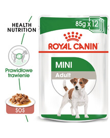 ROYAL CANIN Mini Adult 4x12x85g cibo umido per razze di piccola taglia fino a 10 kg