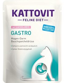 KATTOVIT Feline Diet Gastro Salmone e riso 85g