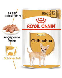 ROYAL CANIN Chihuahua Adult 4x12x85g cibo umido specifico per cani Chihuahua adulti