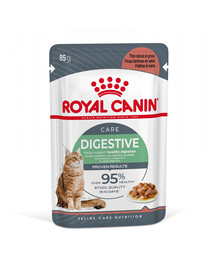 ROYAL CANIN Digest SENSITIVE 85g in salsa