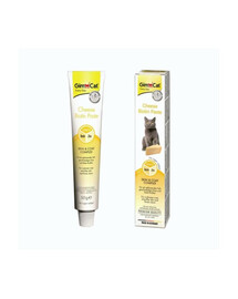 GIMCAT Every Day Cheese Paste 50 g pasta per pelle e pelo dei gatti