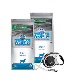 FARMINA Vet Life Dog Joint 2 x 12 kg + FLEXI New Comfort L Tape 8 m GRATIS