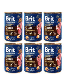 BRIT Premium by Nature Lamb and buckwheatn 6 x 400g cibo per cani a base di agnello e grano saraceno