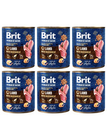 BRIT Premium by Nature 6 x 800g cibo per cani a base di agnello e grano saraceno