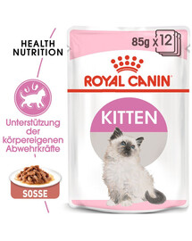 ROYAL CANIN Kitten Instinctive 48x85 g cibo umido in salsa per gattini fino a 12 mesi di età