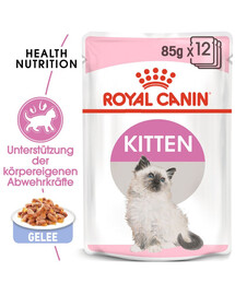 ROYAL CANIN Cat instinctive kitten 48 x 85 g