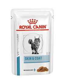 ROYAL CANIN Cat Skin & Coat  48 x 85 g cibo umido per gatti adulti con pelle sensibile