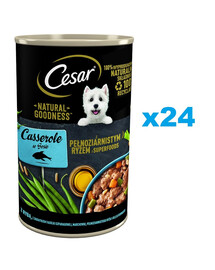 CESAR 24x400g cibo umido per cani adulti con pesce in salsa