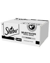 SHEBA Selection Select Slices Aromi di pollame in bustina 120 x 85g in pezzi di salsa con: anatra, pollo, pollame, anatra e tacchino per gatti adulti