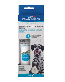 FRANCODEX Set spazzolino e dentifricio