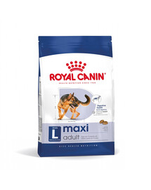 ROYAL CANIN Maxi Adult 10kg cibo secco per cani adulti fino a 5 anni di età, razze grandi