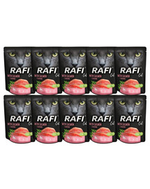 DOLINA NOTECI Rafi Cat con salmone 10 x 300g