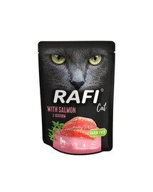 DOLINA NOTECI Rafi Cat con salmone 300g