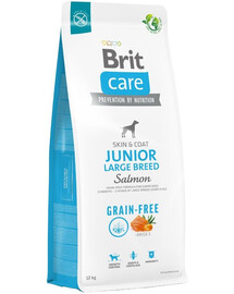 BRIT Care Grain-free Junior Large Breed cibo secco con salmone 12 kg