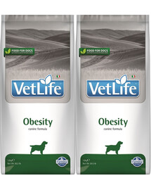 FARMINA Vet Life Dog Obesity 2 x 12kg