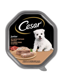CESAR Junior in vaschetta 150g Paté con tacchino e vitello per cuccioli