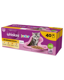 WHISKAS Junior Mix gusti 40x85g Alimento umido per gattini con pollo, anatra, pollame e tacchino in gelatina