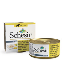 SCHESIR Fruit Pollo con ananas 150g