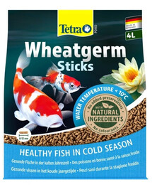 TETRA Pond Wheatgerm Sticks 4l Mangime completo per tutti i pesci da laghetto